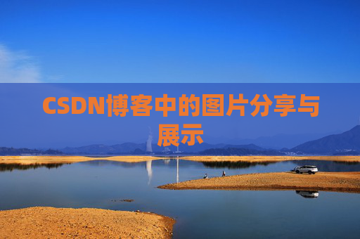 CSDN博客中的图片分享与展示